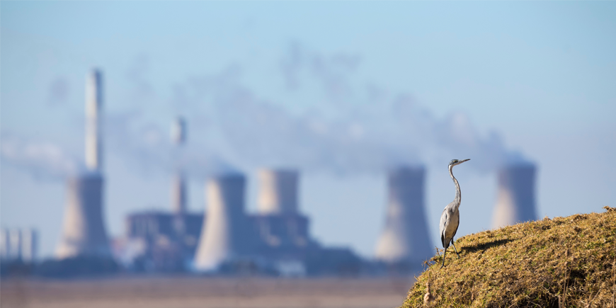 Biodiversity, industry, agriculture, pollution